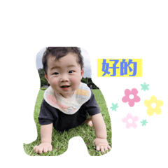 Dorisの