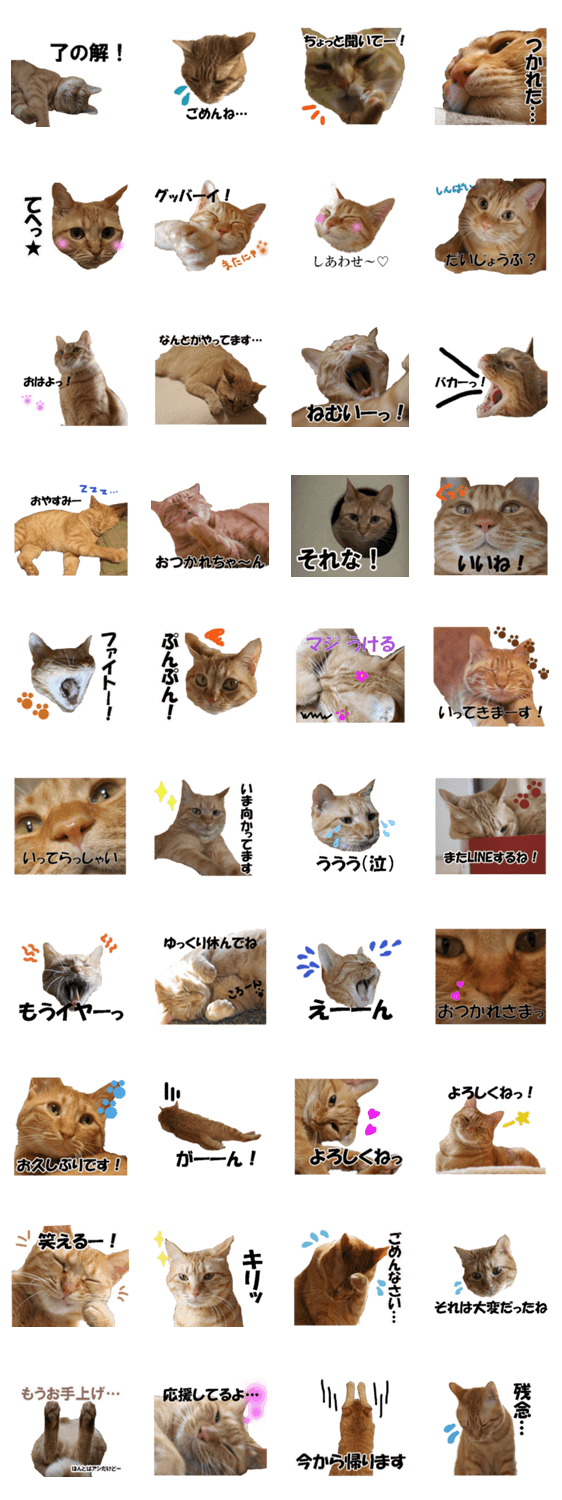 茶トラだらけ Lineクリエイターズスタンプ Stamplist