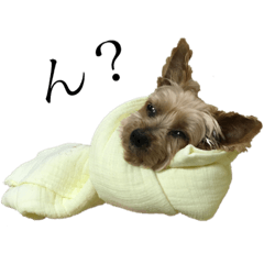 yokushaterianinaritai_second