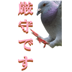 仕事用で使う言葉をハトから Big Lineクリエイターズスタンプ Stamplist 仕事用で使う言葉をハトから Big Lineクリエイターズスタンプ Stamplist