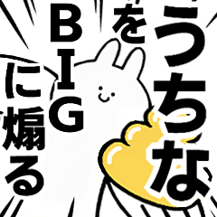 BIG Rabbits feeding [Uchina]