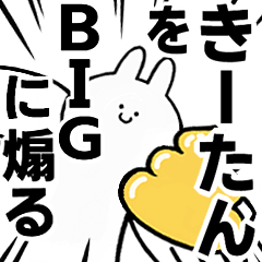 BIG Rabbits feeding [Ki-tan]