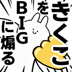 BIG Rabbits feeding [Kikuko]