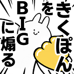 BIG Rabbits feeding [Kiku-pom]