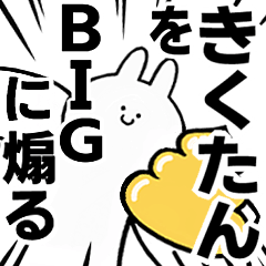 BIG Rabbits feeding [Kiku-tan]