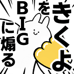 BIG Rabbits feeding [Kikuyo]