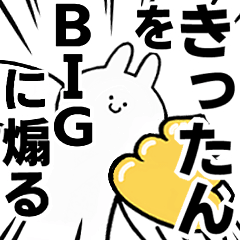 BIG Rabbits feeding [Kitu-tan]