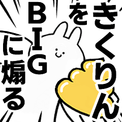 BIG Rabbits feeding [Kiku-rin]