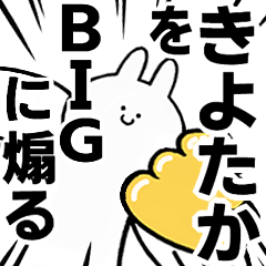 BIG Rabbits feeding [Kiyotaka]