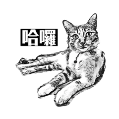 蒙特琪蒂（日常生活）