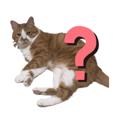 ayumi_20200729160736