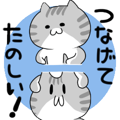 Cute Cat succession sticker