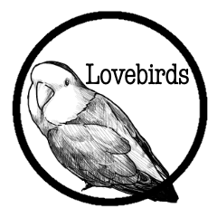Monokuro of the lovebirds
