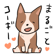 Corgi!!