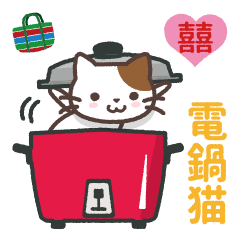 Taiwan Electric Rice Cooker with a cat