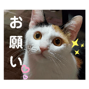 jkitty_20200729223327