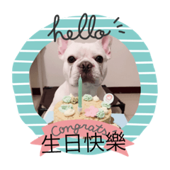 豆豆先生愛跳舞