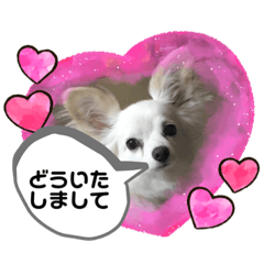 sayuri_20200730100646