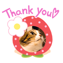 maple_20200729212136