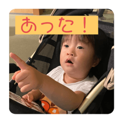 shichicken_20200730011659