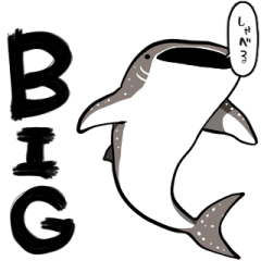 【BIG】しゃべるジンベエザメ