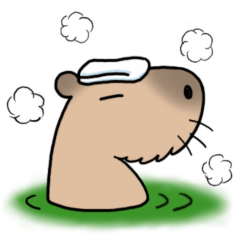Capykichi (cute and healing capybara)