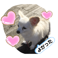 sayuri_20200730102634