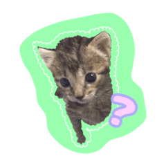 natsumi_20200730102950