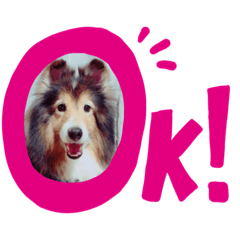 ringo_20200729220757