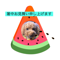 cherry_20200730115734