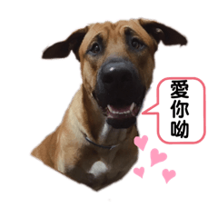 董仔總裁的喜劇生活