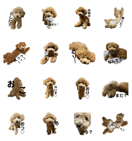 愛犬 おもち4 Lineクリエイターズスタンプ Stamplist