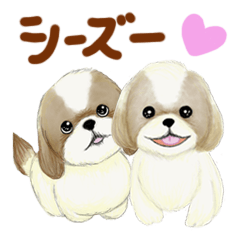 Shih Tzu communication sticker