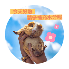呆寶❤️