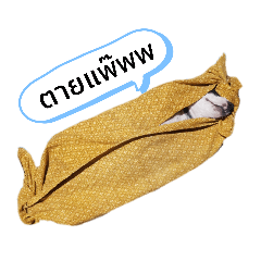 Cocoa_20200730003607