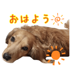 hikari_20200730150200