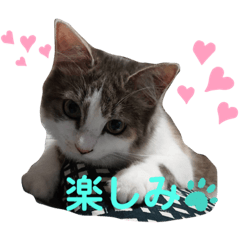 papatora_20200730213701