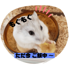 RIHO_20200730215150