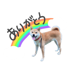 ayumi_20200730222319