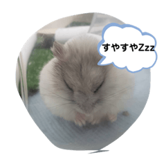 RIHO_20200730233102
