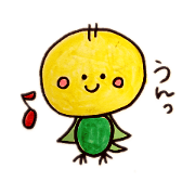rui -rui