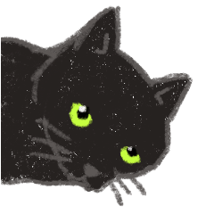 Black cat kuu