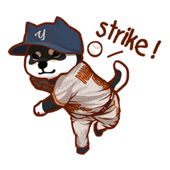 Shiba Baseball Amateur League