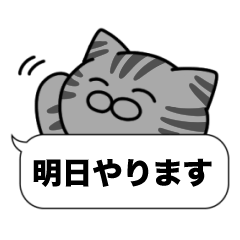 Fun Conversation of Silver tabby cat