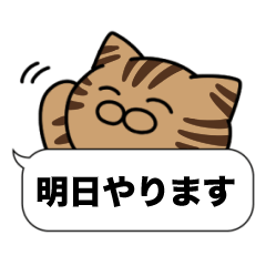 Fun Conversation of Brown tabby cat