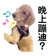 BuBu生活-第五季