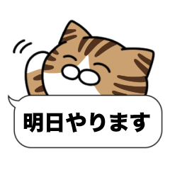 Fun Conversation of Brownwhite tabby cat