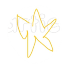 靈魂畫家王張與他的小動物們