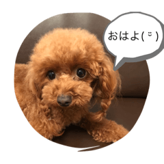 cream_20200731133502