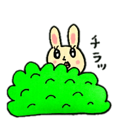 A charming rabbit2